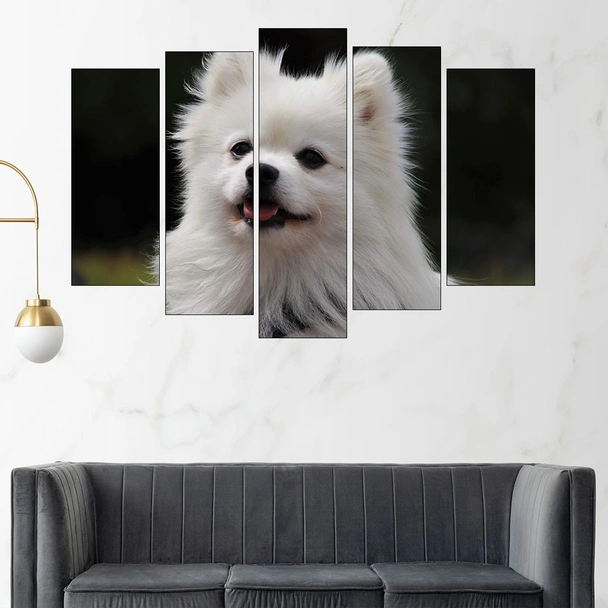 Потрет на пухкав шпиц - картина пано за стена - Image 3