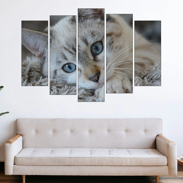 Портрет на малко коте - картина пано за стена - Image 3