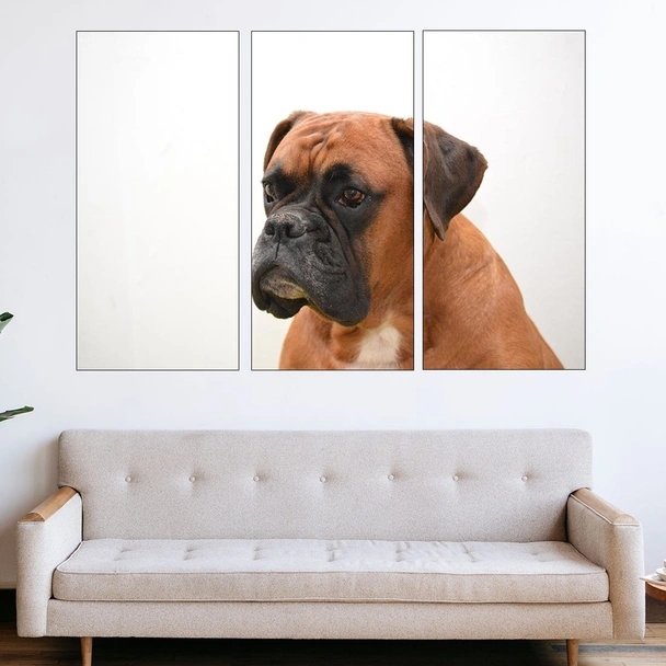 Kуче боксер - потрет - картина пано за стена - Image 2