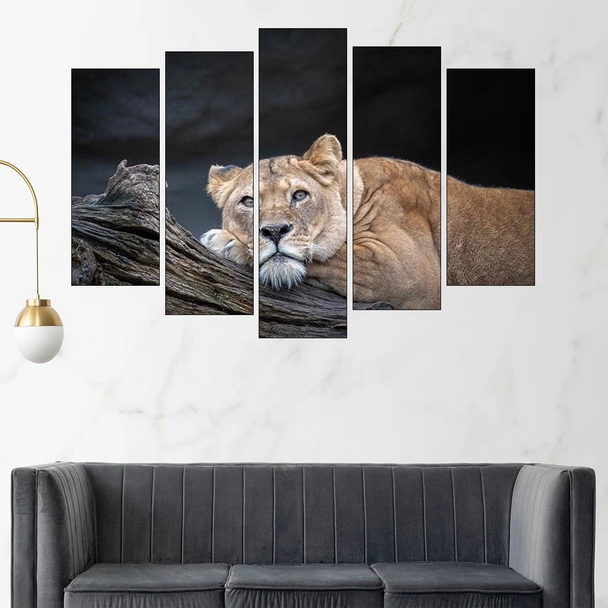 Легнала върху дърво лъвица  - картина пано за стена - Image 3