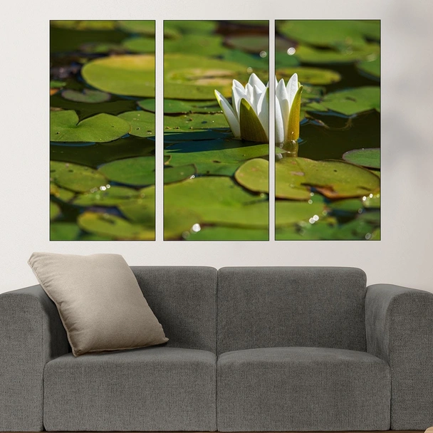 Бяла водна лилия във водата - картина пано за стена - Image 2