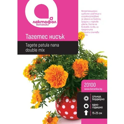 Семена за цветя Тагетес нисък 1 гр ЛАКТОФОЛ БОТАНИКА