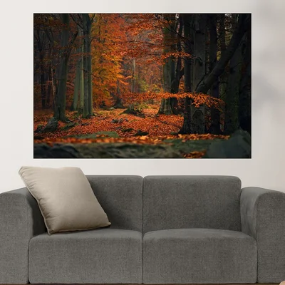 Есен в гората - картина пано за стена