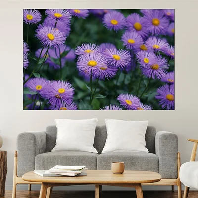 Виолетови астри - картина пано за стена