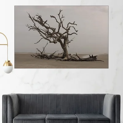 Сухо дърво на плажа - картина пано за стена