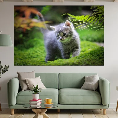 Малко коте в гората - картина пано за стена