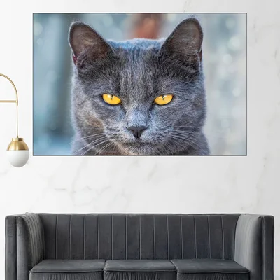 Черна котка с жълти очи - картина пано за стена