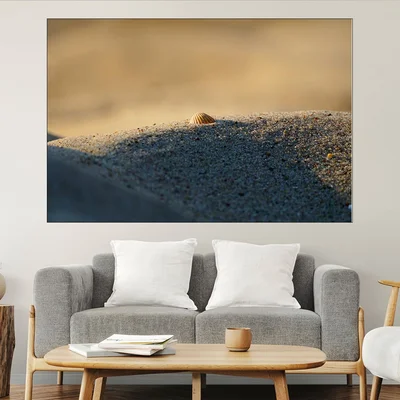 Мидена черупка на пясъка - картина пано за стена