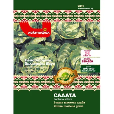 Семена салата Зимна маслена глава