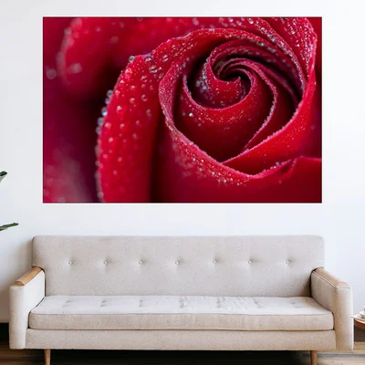 Роса по червена роза - картина пано за стена