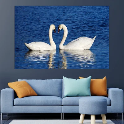 Любовна двойка лебеди - картина пано за стена