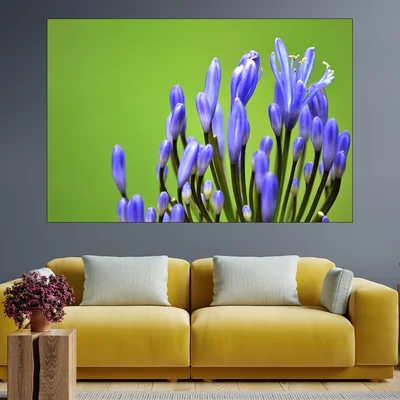 Цъфтяща лавандула - картина пано за стена