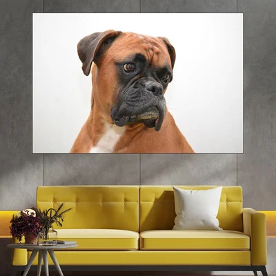 Потрет на куче боксер - близък план - картина пано за стена