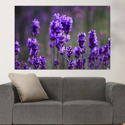 Виолетова лавандула в полето - картина пано за стена