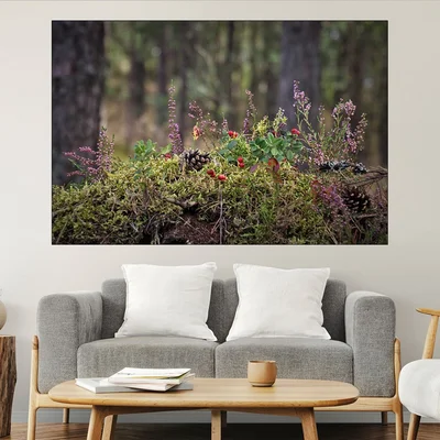 Декорация от горски треви и шишарка - картина пано за стена