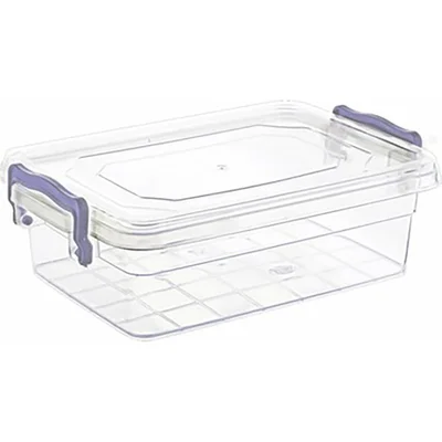 Кутия за съхранение 300 мл VIOLET HOUSE