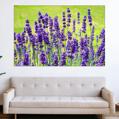 Лавандулов храст в полето - картина пано за стена