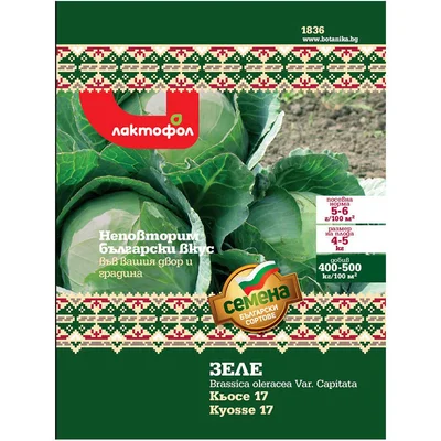 Семена зеле Кьосе 17 ЛАКТОФОЛ БОТАНИКА