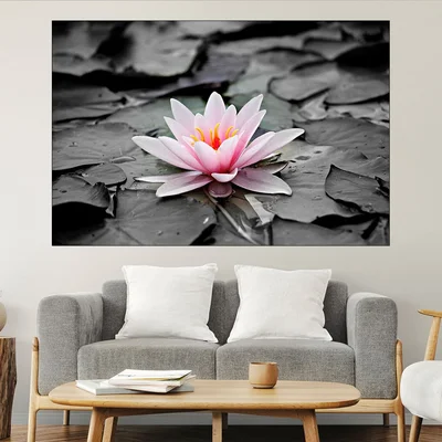 Розова водна лилия - картина пано за стена