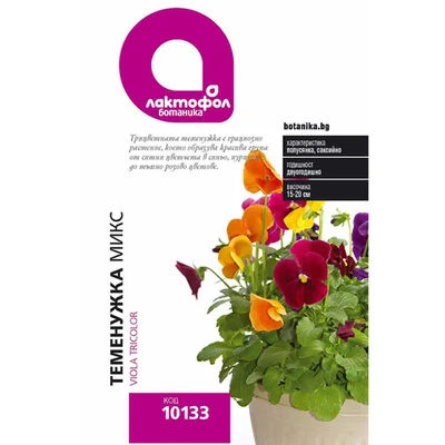 Семена теменужка дребна микс