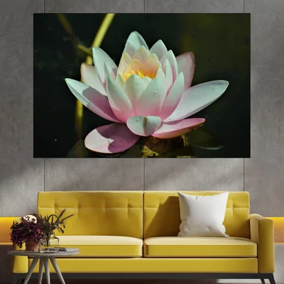 Цъфнала бяла водна лилия - картина пано за стена