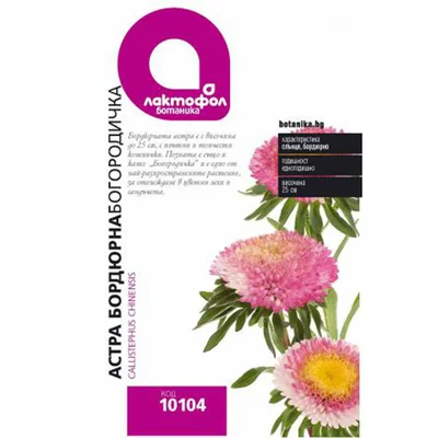 Семена за цветя Астра хризантемкова микс/Богородичка ЛАКТОФОЛ БОТАНИКА