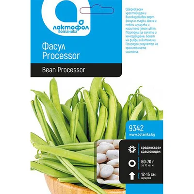 Семена зелен фасул Processor