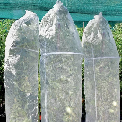 Предпазно покривало за домати ø40x150 см 3 бр. HERLY