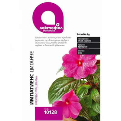 Семена за цветя Импатиенс/Циганче ЛАКТОФОЛ БОТАНИКА