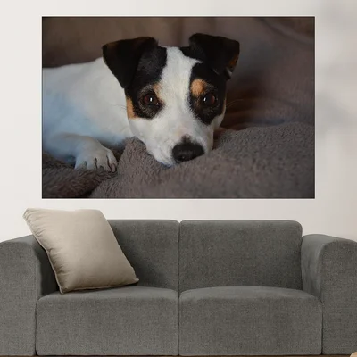 Игрив малък джак ръсел  - картина пано за стена