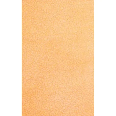 Фаянс 25х40 см Алба оранжев 7015 KAI