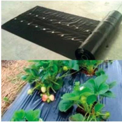 Найлон за ягоди - черен