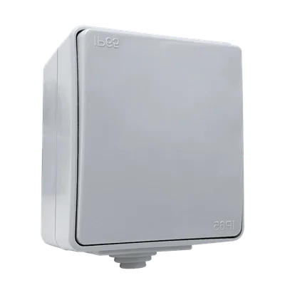 Ключ СХ.1 открит монтаж IP65 сив