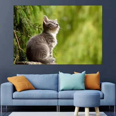 Портрет на коте в гората - картина пано за стена