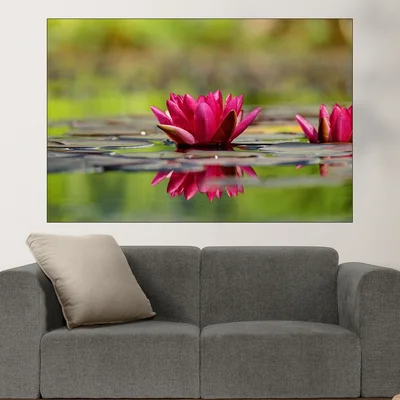 Езерце с водни лилии - картина пано за стена