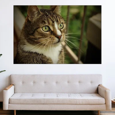 Портрет на домашна котка  - картина пано за стена