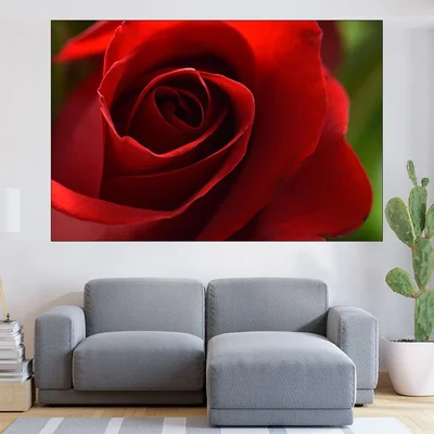 Макро на червена роза - картина пано за стена