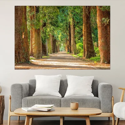 Път сред вековни дървета - картина пано за стена