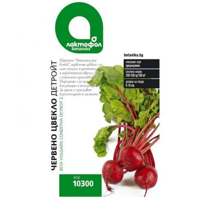 Семена Червено цвекло Детройт ЛАКТОФОЛ БОТАНИКА