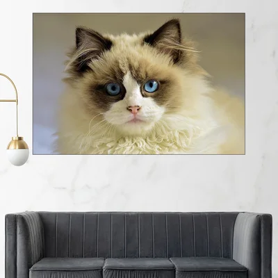 Портрет на синеока котка - картина пано за стена