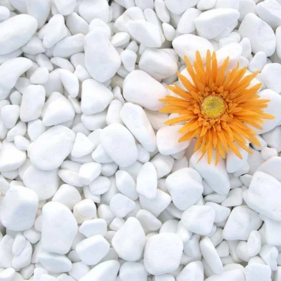 Камъчета за декорация 3-6 см Pebbles White Thasos AKROLITHOS - на кг