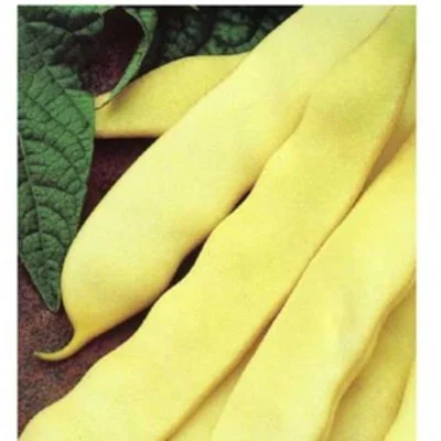 Семена фасул Капитано 0.50гр