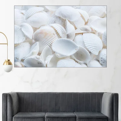 Бели черупки от миди - картина пано за стена