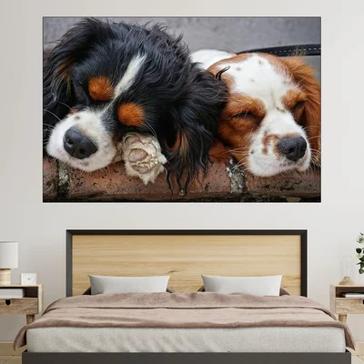 Спящи кученца Кавалер - картина пано за стена