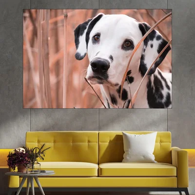 Далматинец -портрет - картина пано за стена