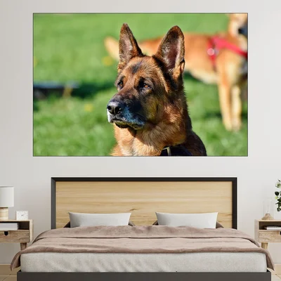 Портрет на немска овчарка  - картина пано за стена