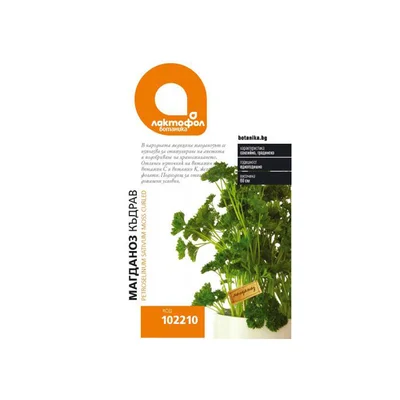 Семена къдрав магданоз