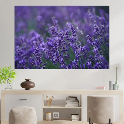 Цъфнала в полето лавандула - картина пано за стена