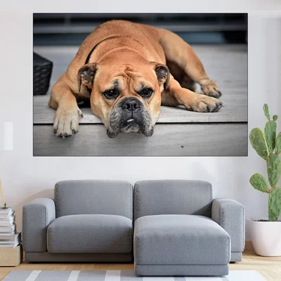 Легнал булдог - картина пано за стена