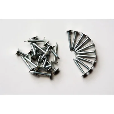 Покривни гвоздеи за битумни керемиди 20 мм